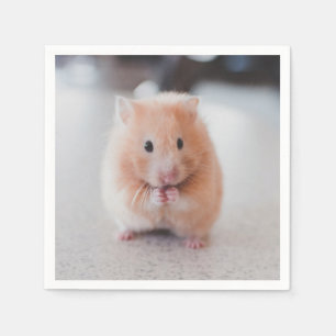Guardanapo De Papel Animais de amores de hamster
