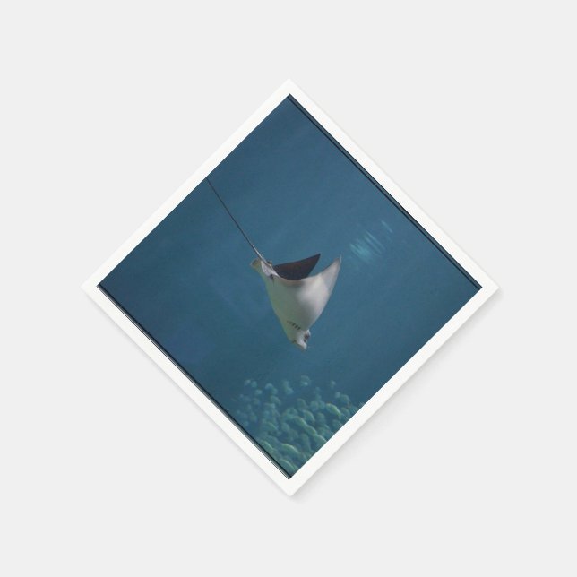 Guardanapo De Papel Arrasto Incrível (Canto)