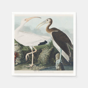 Guardanapo De Papel Arte da Natureza da Ave Íbis-Branca de Audubon Vin