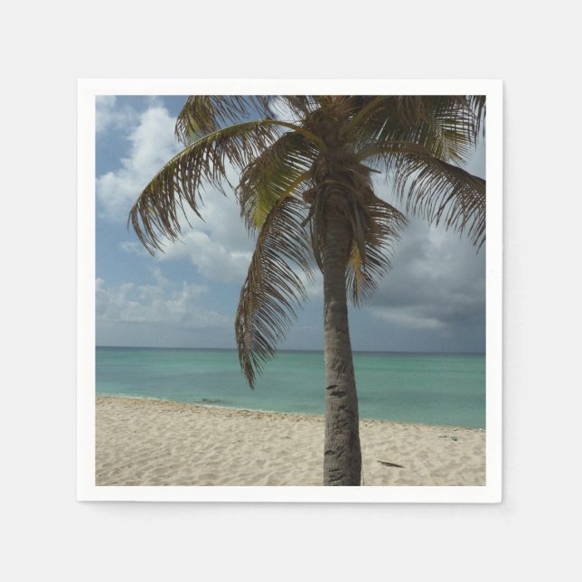 Guardanapo De Papel Aruban Beach I Linda cena natural (Frente)