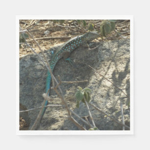 Guardanapo De Papel Aruban Whiptail Lizard Fotografia Animal Tropical