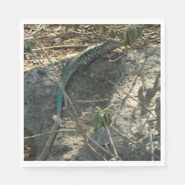 Guardanapo De Papel Aruban Whiptail Lizard Fotografia Animal Tropical (Frente)