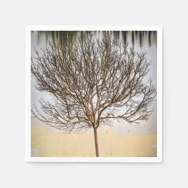 Guardanapo De Papel Árvore (Frente)