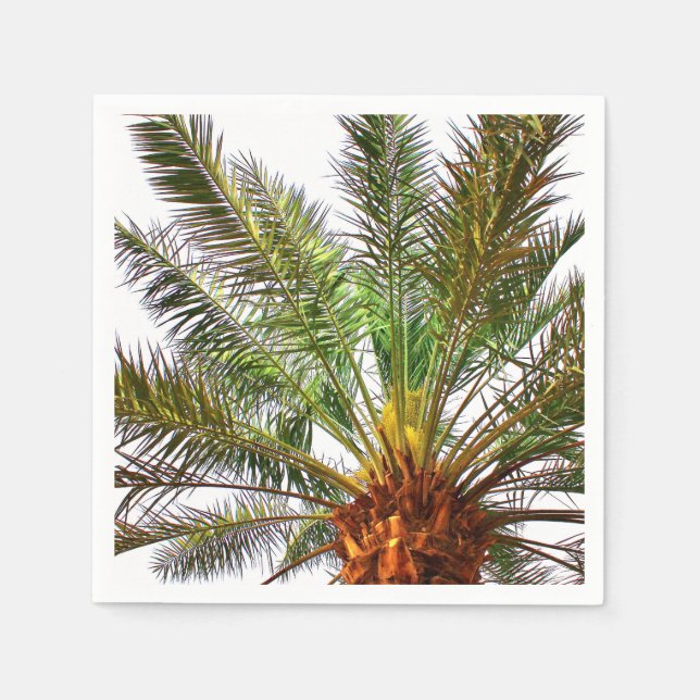 Guardanapo De Papel Árvore de Data (Frente)