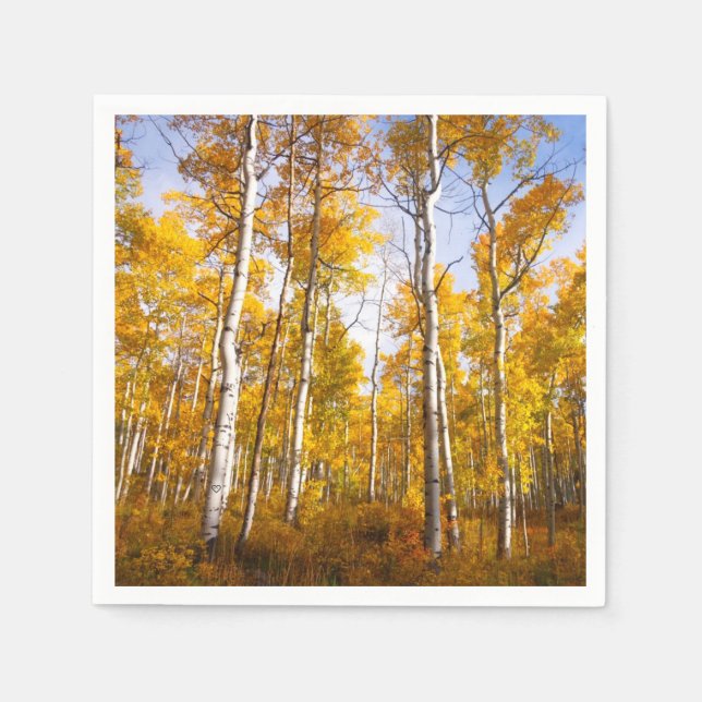 Guardanapo De Papel Aspen Groove Yellow Fall Folies (Frente)