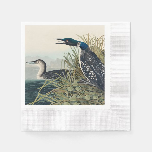 Guardanapo De Papel Audubon Bird Loon Diver Classic (Frente)