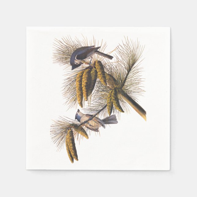 Guardanapo De Papel Audubon Crested Titmouse Cocktail Napkins (Frente)