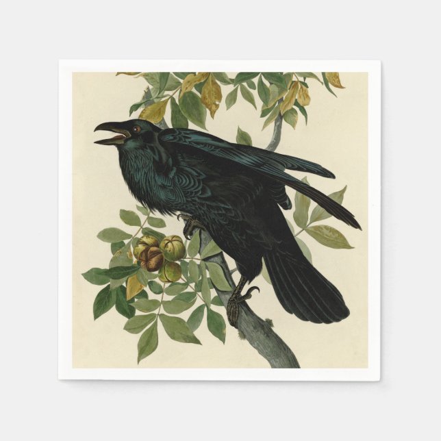 Guardanapo De Papel Audubon Raven Bird Classic Trabalho de arte (Frente)