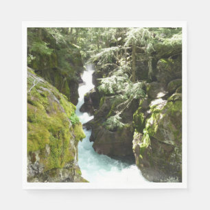 Guardanapo De Papel Avalanche Gorge II no Parque Nacional Glacier