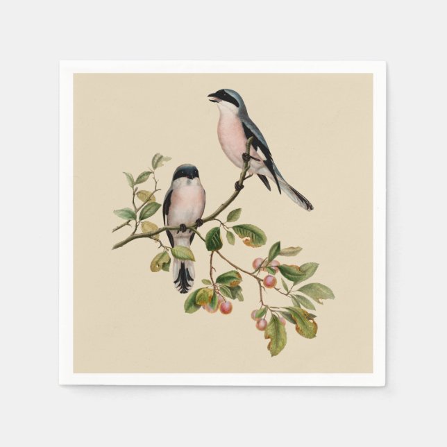 Guardanapo De Papel Aves Bonito da Vintage em Beige (Frente)