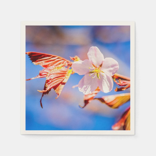 Guardanapo De Papel Azul-céu cor-de-rosa Sakura (Frente)