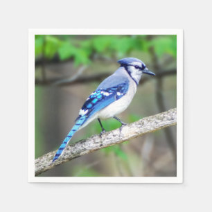 Guardanapo de papel azul de Jay