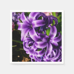 Guardanapo De Papel Azul Hyacinth II Primavera Floral