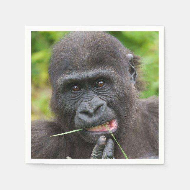 Guardanapo De Papel Baby Gorilla Cuteness (Frente)