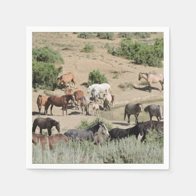 Guardanapo De Papel Bacia de Lava-Lava da piscina (Frente)