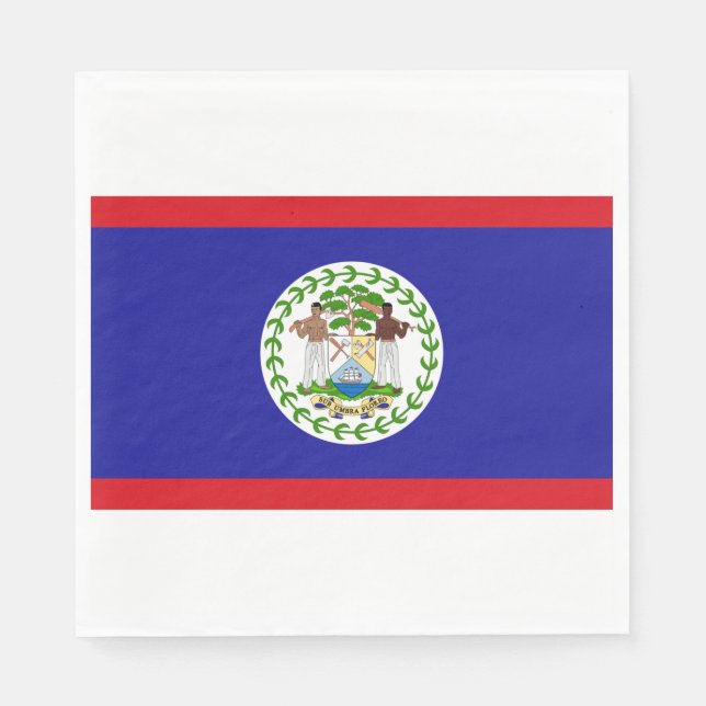 Guardanapo De Papel Bandeira de Belize (Frente)