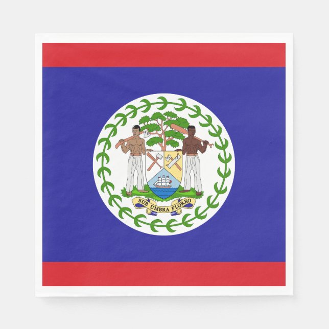 Guardanapo De Papel Bandeira de Belize (Frente)