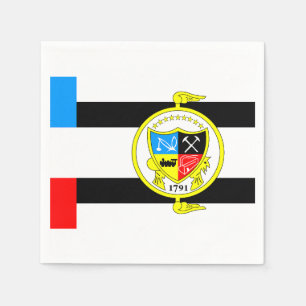 Guardanapo De Papel Bandeira de Knoxville, Tennessee