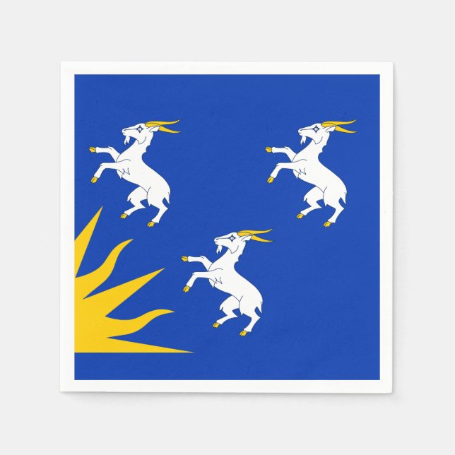 Guardanapo De Papel Bandeira de Merionethshire Paper Napkins (Frente)