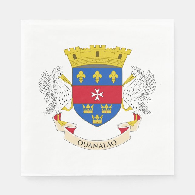 Guardanapo De Papel Bandeira de São Bartolomeu (Frente)