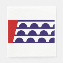 Bandeira do Des Moines (Iowa City)