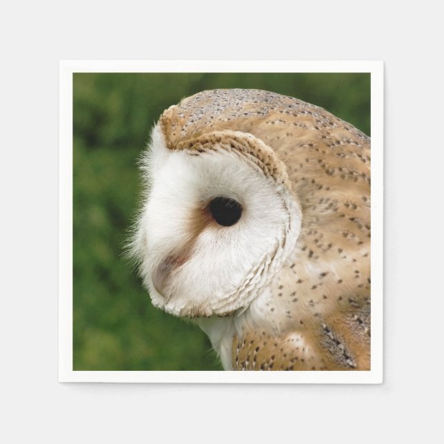 GUARDANAPO DE PAPEL BARN OWL (Frente)