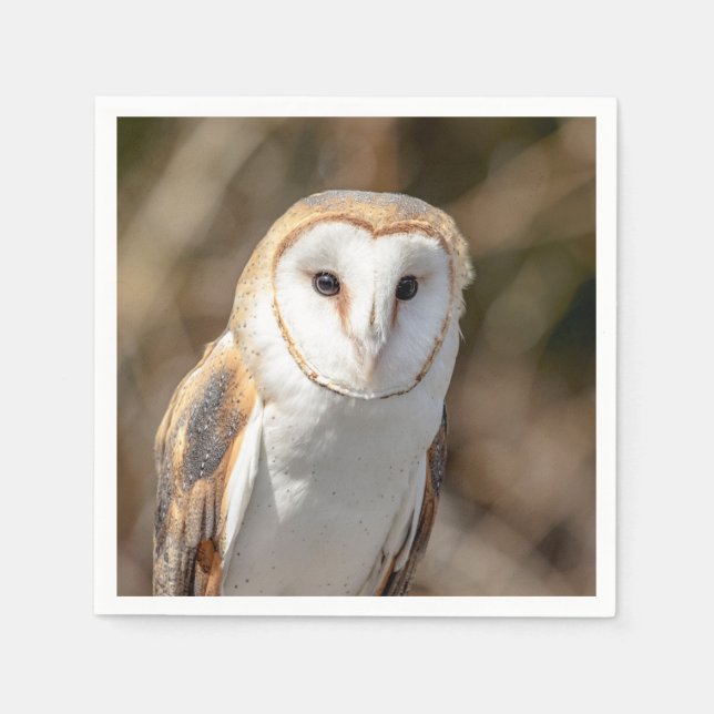 Guardanapo De Papel Barn Owl (Frente)