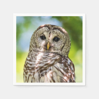 Guardanapo De Papel Barred Owl