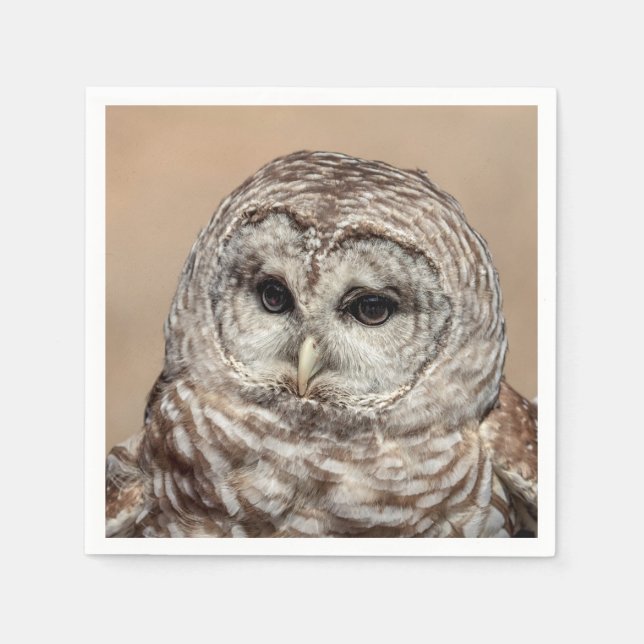 Guardanapo De Papel Barred Owl em voo (Frente)