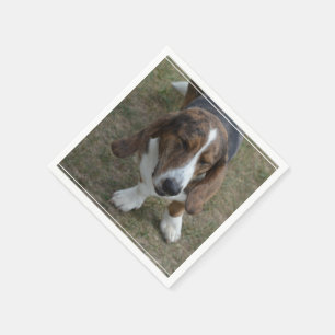 Guardanapo De Papel Basset Hound doce