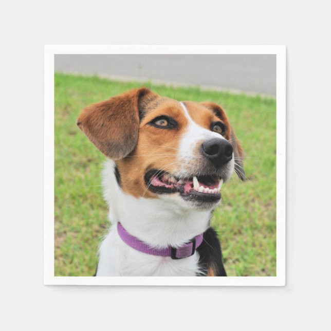 Guardanapo De Papel Beagle (Frente)