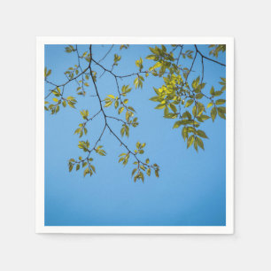 Guardanapo De Papel beautiful branch with green and yellow leaves hug