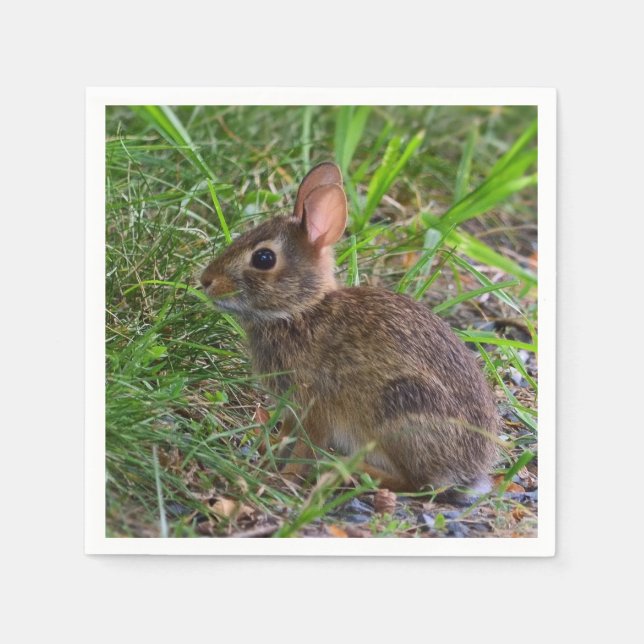 Guardanapo De Papel Bebê Papel Coelho Napkin (Frente)