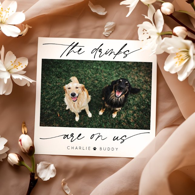 Guardanapo De Papel Bebidas Modernas Estão Em Nós Foto Pet (Criador carregado)