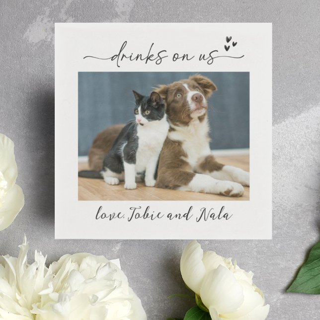 Guardanapo De Papel Bebidas no coquetel de recepção de fotos de gatos- (Criador carregado)