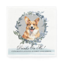 Bebidas Por Minha Conta! Cão Corgi Galês de Pembro