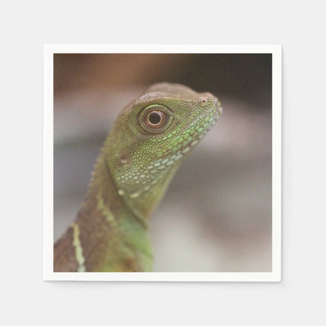 Guardanapo De Papel beijo de Iguana (Frente)