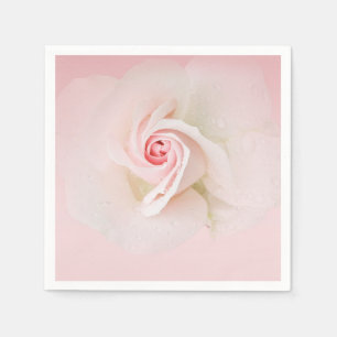 Guardanapo De Papel Bela Rosa Molhada Rosa Suave Chuveiro de Noiva Ele