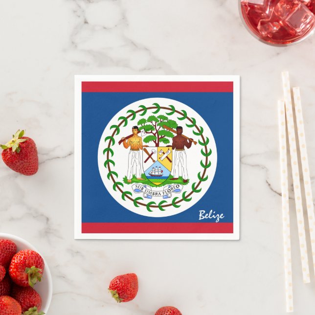 Guardanapo De Papel Belize & Belize Bandeira na moda/esportes fãs (Insitu)