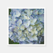Belo Blue Hydrangea Flowers Foto