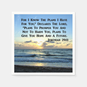 GUARDANAPO DE PAPEL BELO JEREMIAH 29:11 SKIES AZUIS