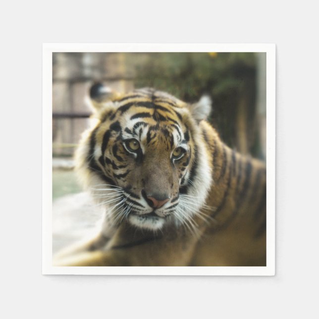 Guardanapo De Papel Bengal Tiger (Frente)