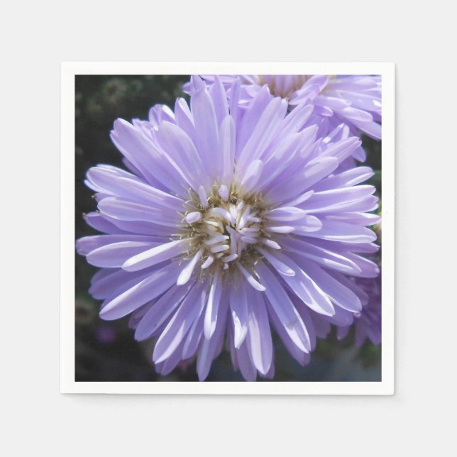 Guardanapo De Papel Berlinette (Frente)