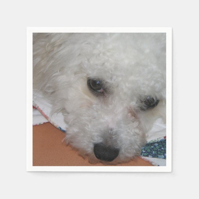 Guardanapo De Papel Bichon Frisé.png (Frente)