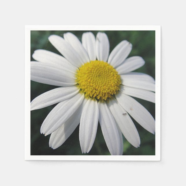 Guardanapo De Papel Big White Daisy Napkins (Frente)