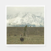Bison no Grand Teton National Park Fotografia