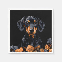 Black & Tan Dachshund