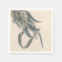 Bloeiende tak van een eucalyptus