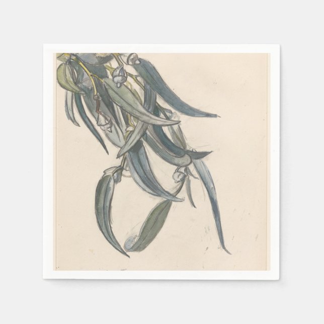 Guardanapo De Papel Bloeiende tak van een eucalyptus (Frente)