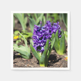 Guardanapo De Papel Blue Geocinth em primavera